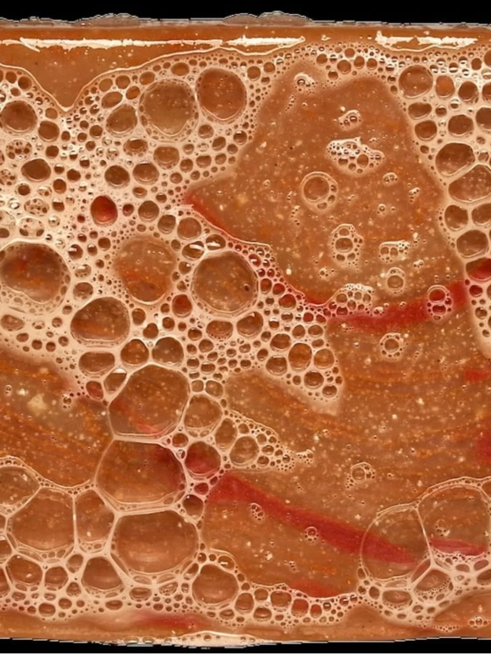 Father’s Day Dr. Squatch - Drunk'n Pumpkin Men's Natural Soap — Medium Grit